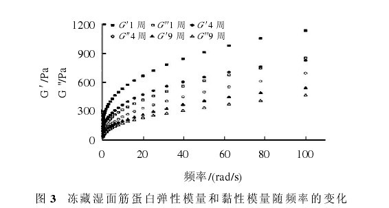 圖 3 凍藏濕面筋蛋白彈性模量和黏性模量隨頻率的變化
