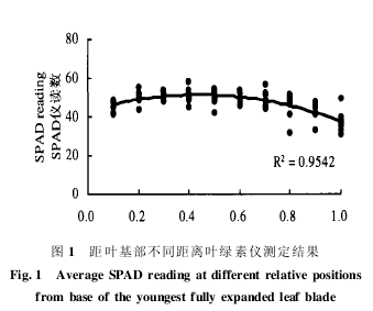 ���~������ͬ���x�~�G�؃x�y���Y��